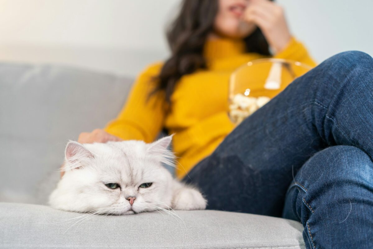 pet cause acne