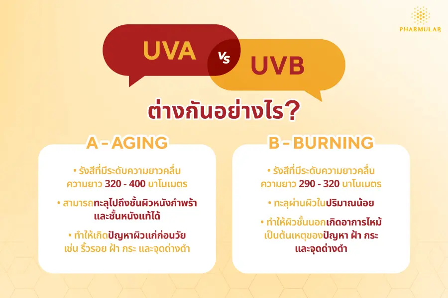 ความสำคัญของครีมกันแดด